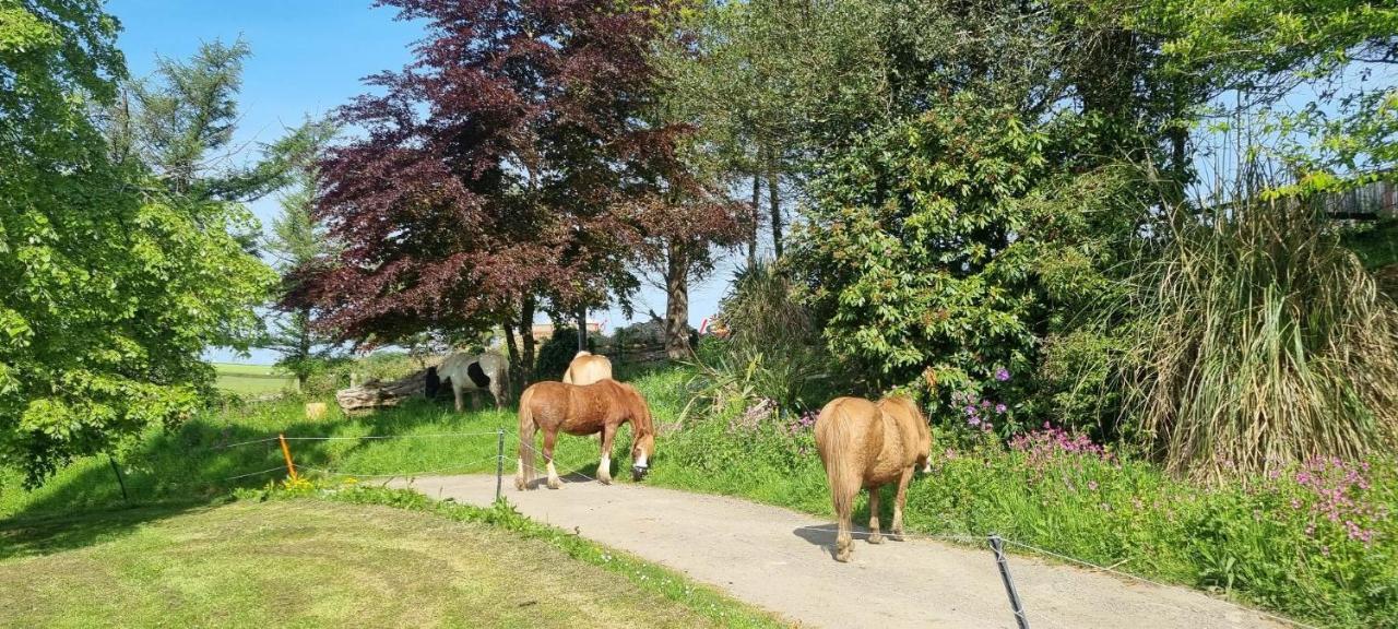 Trelawney Cottage, Sleeps Up To 4, Wifi, Fully Equipped Menheniot エクステリア 写真