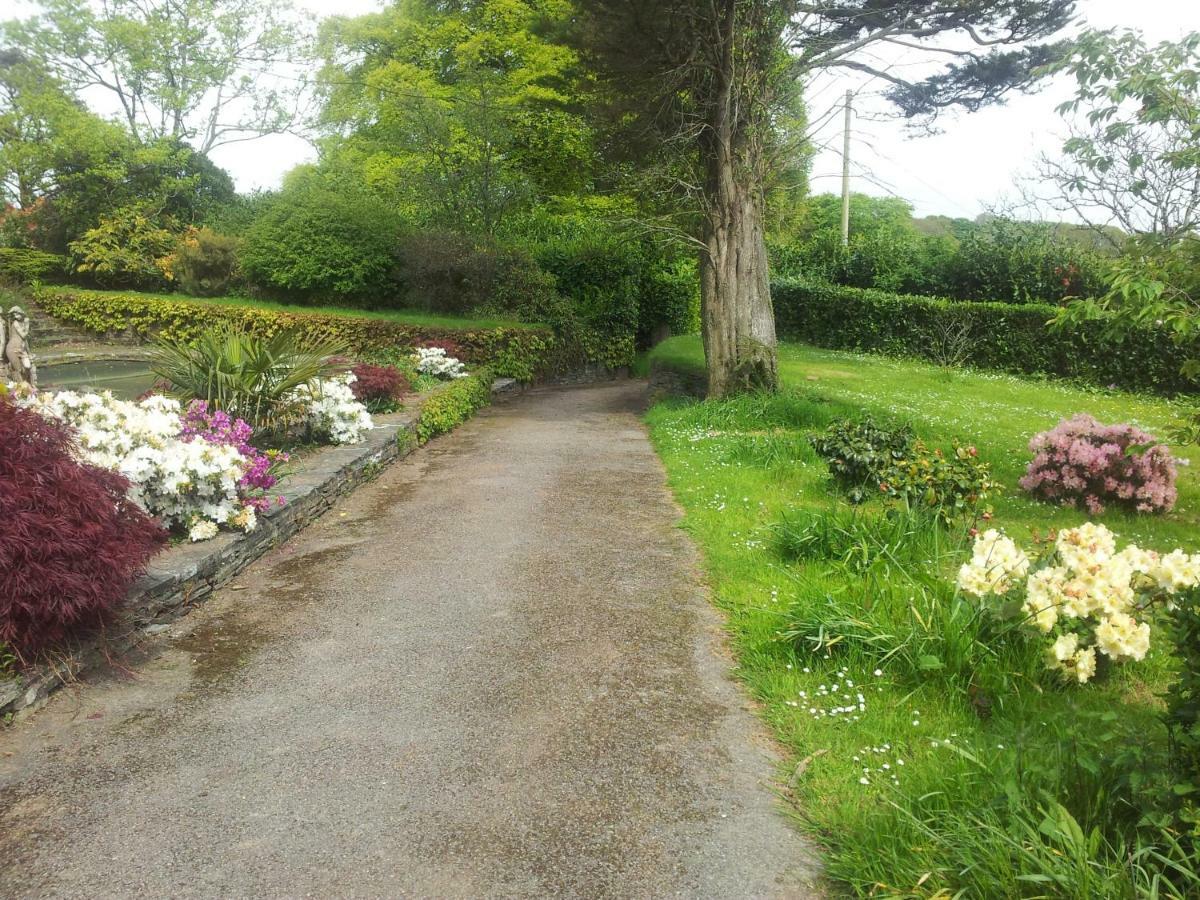 Trelawney Cottage, Sleeps Up To 4, Wifi, Fully Equipped Menheniot エクステリア 写真