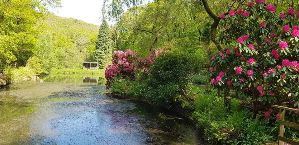 Trelawney Cottage, Sleeps Up To 4, Wifi, Fully Equipped Menheniot エクステリア 写真